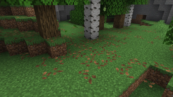 Leaf Litter
