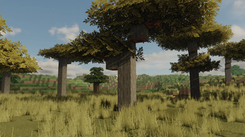 Savanna Biome