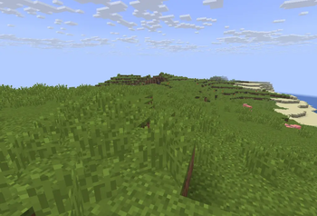 new Flat Plains biome