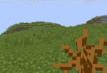 New Shrubland biome