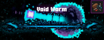 Void Worm