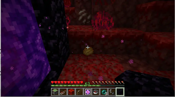 drop potato when I broke Nether Earth Block
