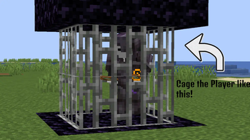 Overview of Cage button.