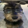 Freddy_Lives