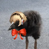 thatmakaron