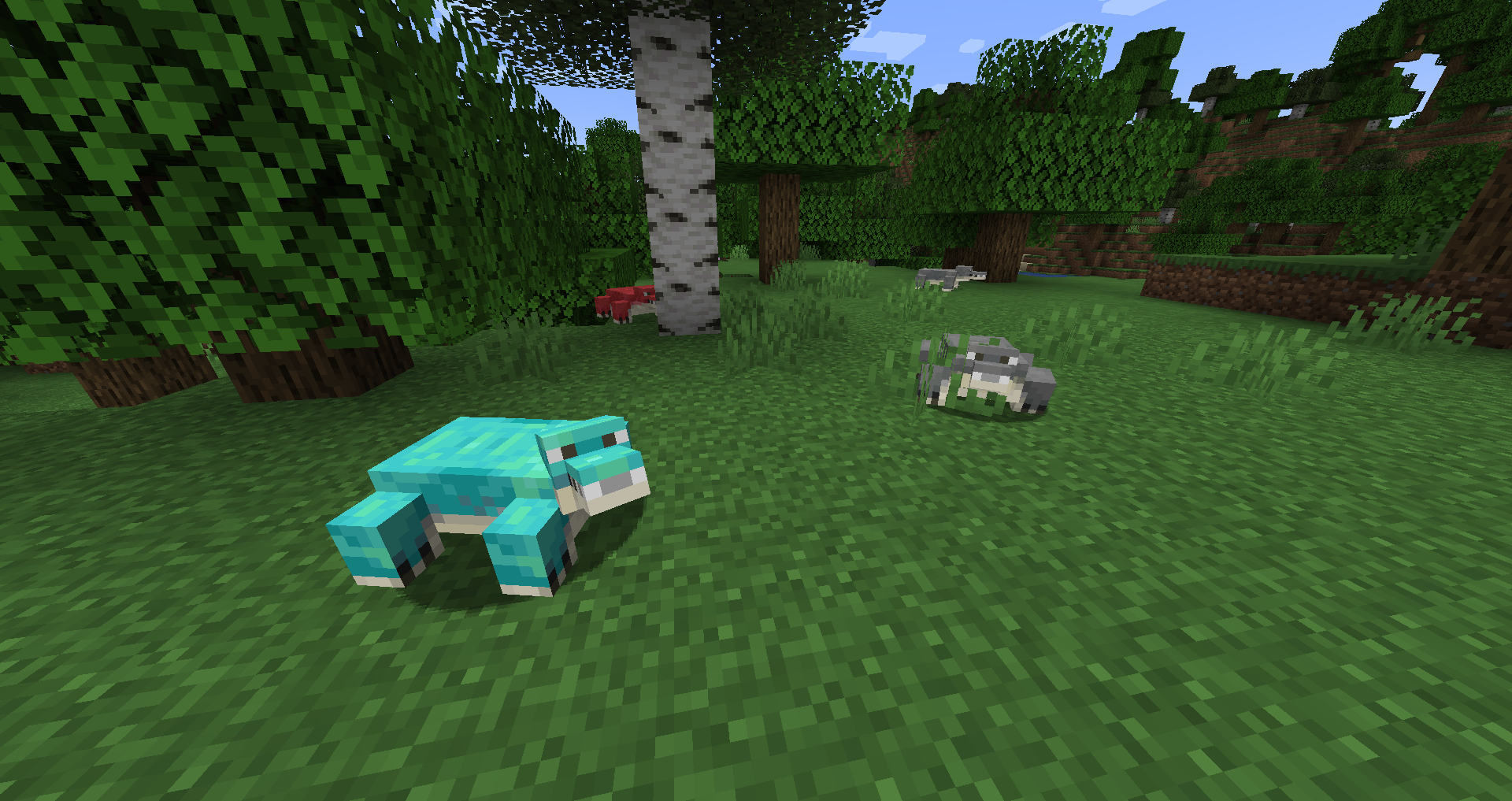 They spawn in forest biomes.