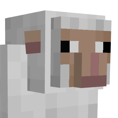 Kassy's Sheeps