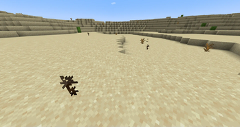 Dead flower at a desert