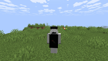 Mod In-game