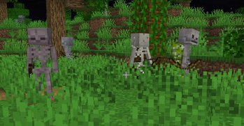 Skeletons