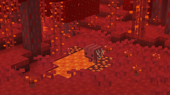 Nether