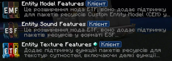 Entity features