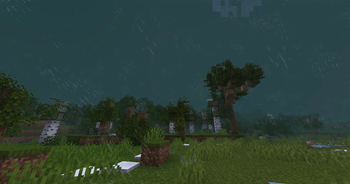 PMW: Particles Redone