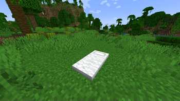 The bedroll