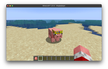 Pig
