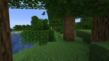Without Shaders (falling leaves)