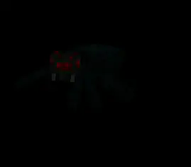 Cave Spider