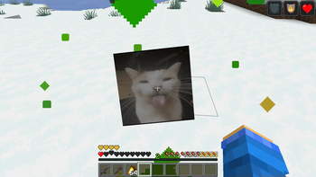 Silly cat saving your life