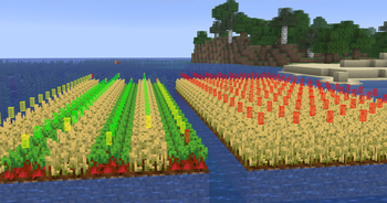Alternating Rows of Crops are way faster!