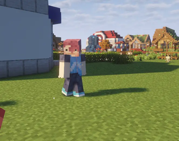 Wonderer Trader Ditto (why is it blue?)