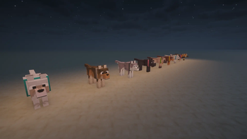Glow Collar