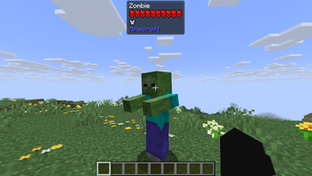 Mobs don't burn during the day