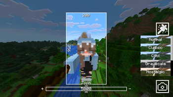 Camera Controls GUI