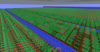 a "potato" farm
