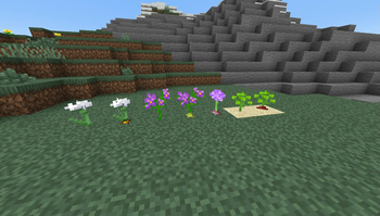 New Flowers