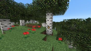 Bee Burrow