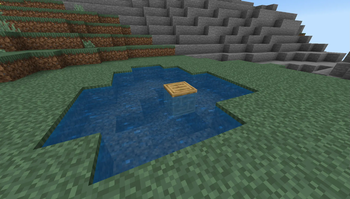 Fish Farm