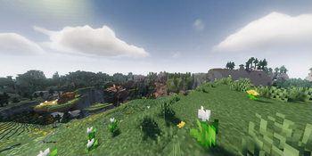Landscape view