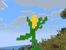 Corn!