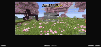 Screenshot Viewer