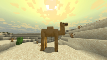 desert