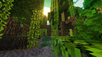 reshaded mangrove