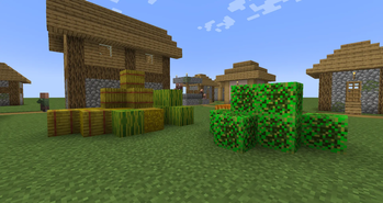 Wheat Seed Block in the village