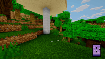 Dark Oak Forest