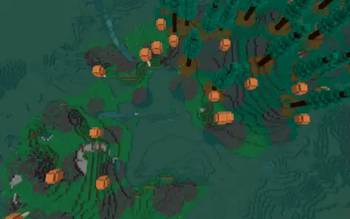 Fungal field and subtropical forest
