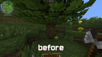 tree before