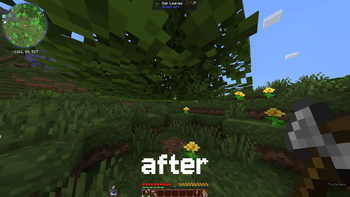 tree after
