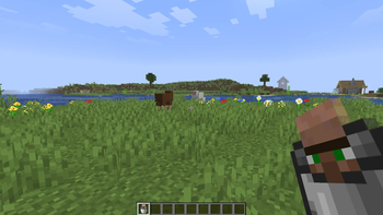 Bucket of Villager
