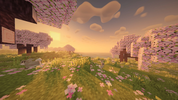 Sunrise - Cinematic Mode