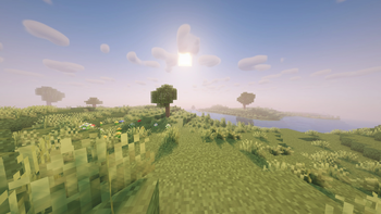 Sunrise - Warm Morning Glow