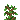 Sapling Growth Stages