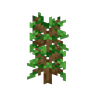 Sapling Growth Stages