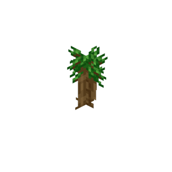 Dark Oak
