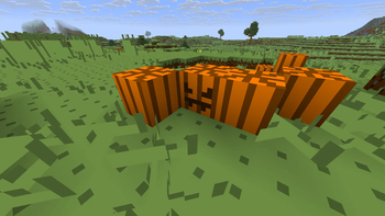 Pumpkins