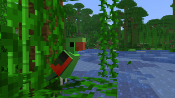 Red-Winged Parrot