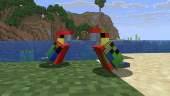 Coastal Western Rosellas